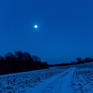 frozen heart