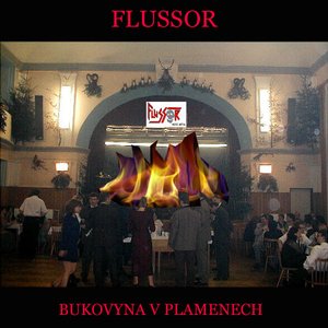 Image for 'Flussor'