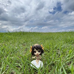 NISHINOMIYA NORTH HIGH SCHOOL GIRL DISTORTIONAL ADDICT