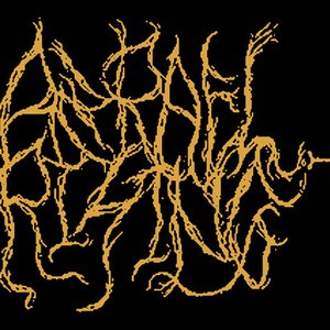 Azrael Rising 的头像