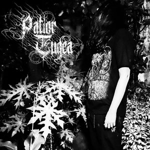 Avatar for Patior Eugea
