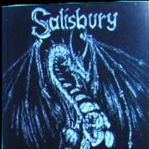 Salisbury 的头像