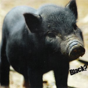 Black?