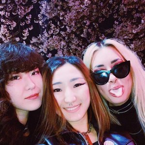 theVERTIGOS 的头像
