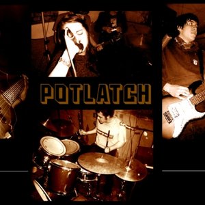 Potlacht 的头像