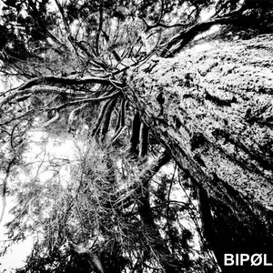 BIPØLÄRIS 的头像