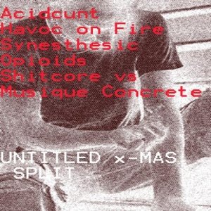 ACIDCUNT, shitcore vs musique concrete, Havoc on Fire, synesthesic opioids - Untitled x-MAS Split