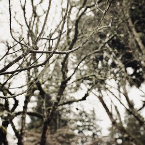 still (demos vol vi)
