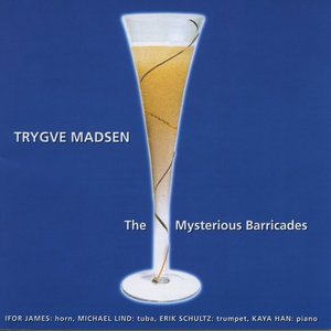 The Mysterious Barricades