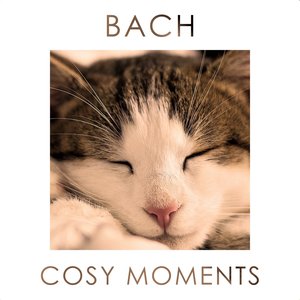 Bach Cosy Moments