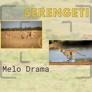 Serengeti - Single