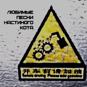 Любимые песни настиного кота için avatar