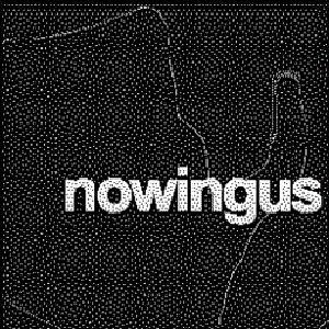 NOWINGUS のアバター