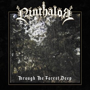 Through the Forest Deep