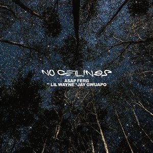 No Ceilings (feat. Lil Wayne & Jay Gwuapo) - Single