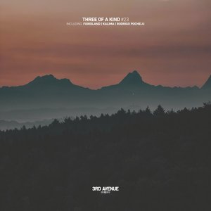 Three of Kind #23