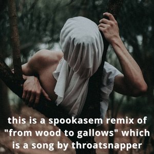 From Wood To Gallows (spookasem Remix) - Single