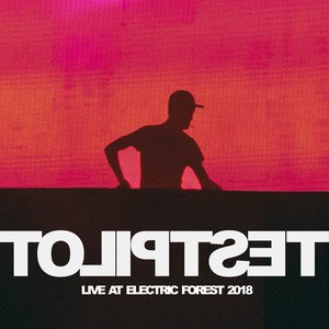 Live At Electric Forest 2018 (DJ Mix)