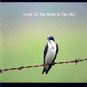Look To The Birds In The Sky