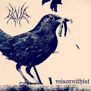 Misornithist - Single