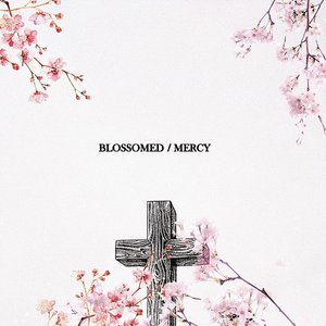 Blossomed / Mercy