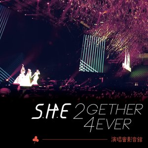 S.H.E 2gether 4ever 2013 演唱會