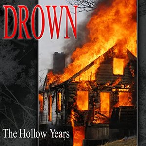 The Hollow Years