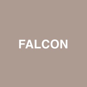 Falcon (feat. Raury)