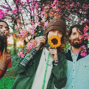 Avatar de Never Shout Never