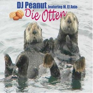 Awatar dla DJ Peanut feat. M.El. Anie