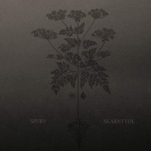 Image for 'Skarntyde'