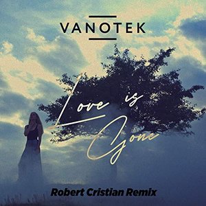 Love Is Gone (Robert Cristian Remix)