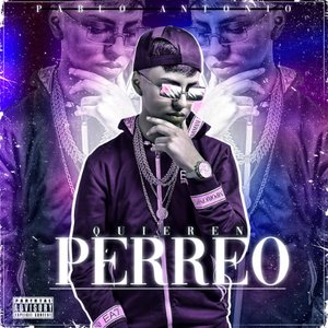 Quieren Perreo
