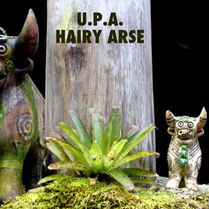 Hairy Arse - Single