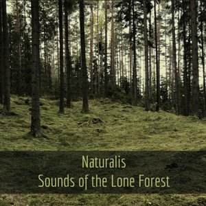 Sounds of the Lone Forest