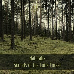Sounds of the Lone Forest