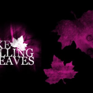 Like Falling Leaves 的头像