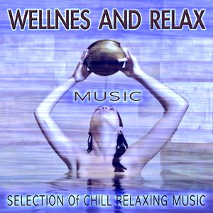 Wellnes and Relax Music (Selection of Chill Relaxing Music)