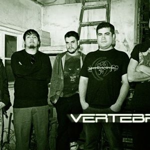 Vertebrac 的头像