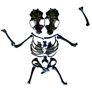 Glōmung