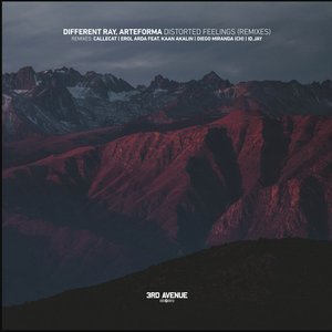 Distorted Feelings (Remixes)