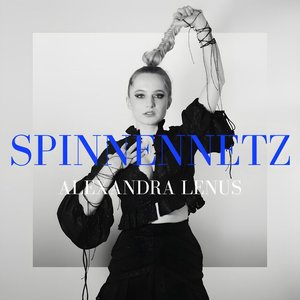 Spinnennetz