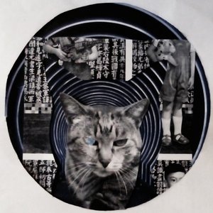 Pussy Kingdom (The Remixes)