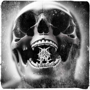 Fisticuffs - Single