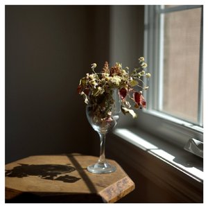 Red Rose