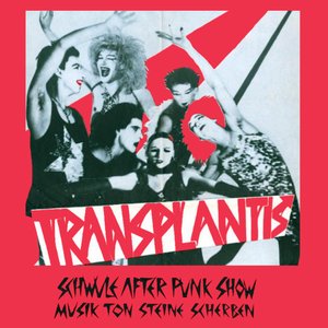 Schwule After Punk Show