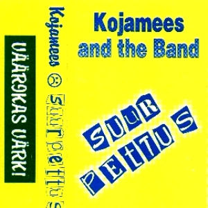 Suur pettus cover