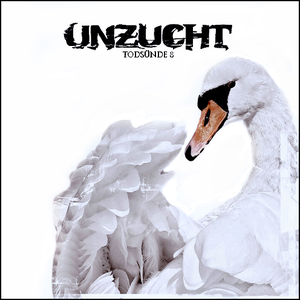 Todsünde 8 cover