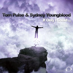If Only I Could (The Hands up Remixes)