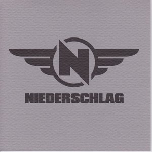 Niederschlag